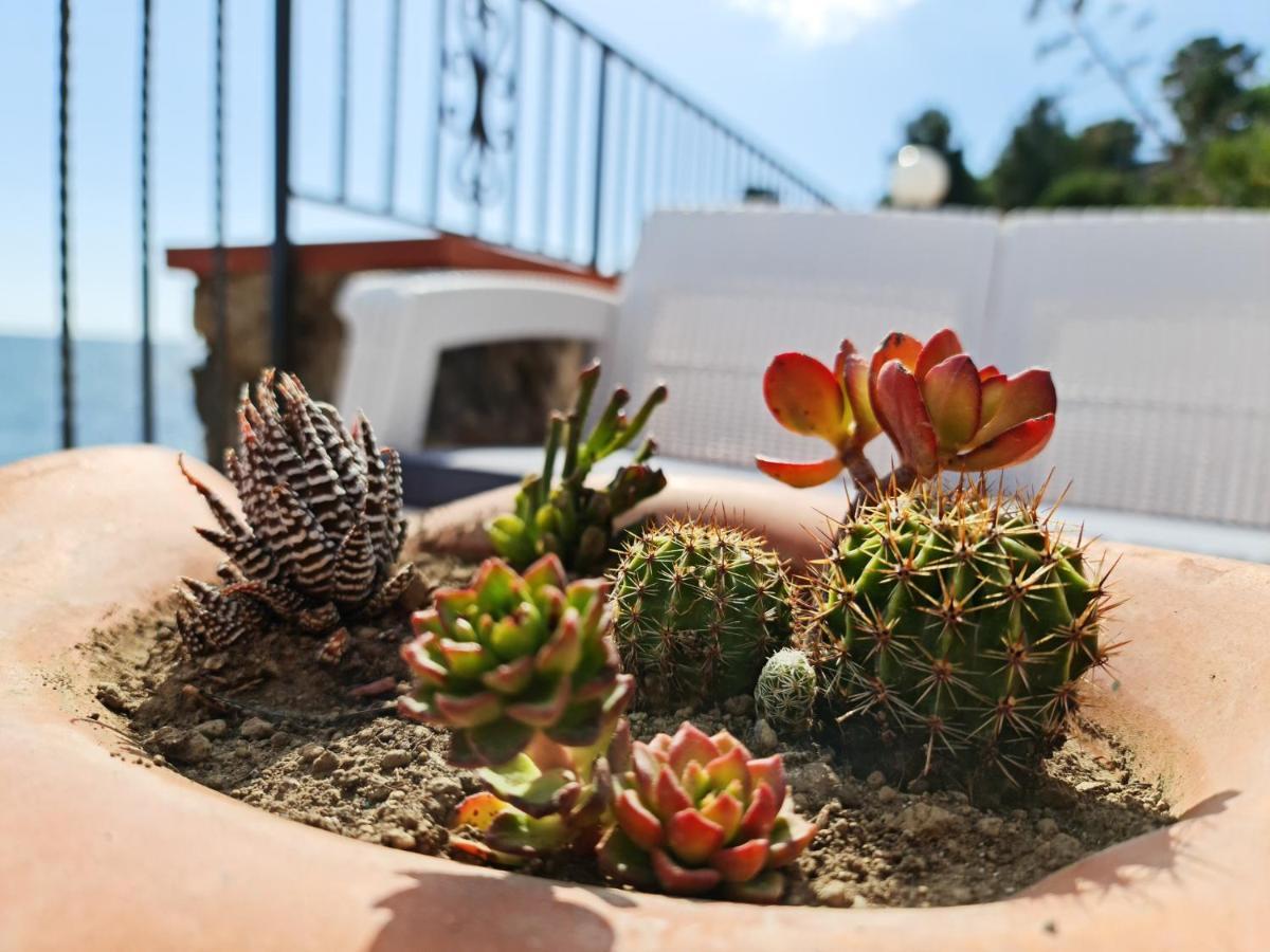 Villa Martina Mare Casal Velino Kültér fotó